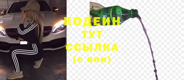 прущие грибы Кинешма