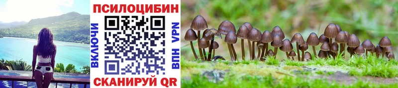 Галлюциногенные грибы GOLDEN TEACHER  Купить где  Костомукша 